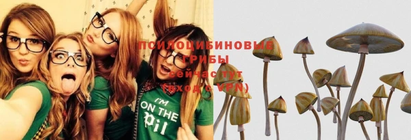 ешки Пролетарск