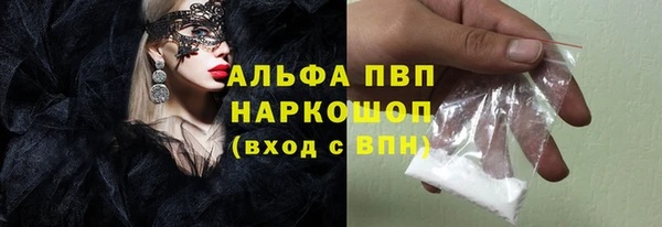 PSILOCYBIN Покачи