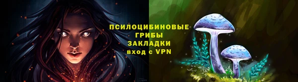 дживик Приозерск
