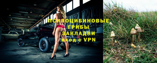 дживик Протвино