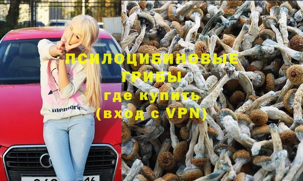 дживик Протвино