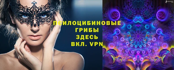 дживик Протвино