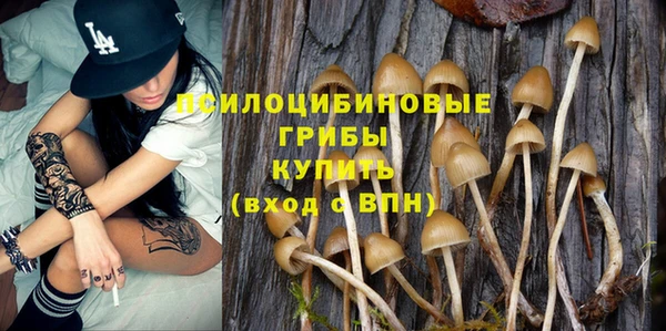 дживик Протвино