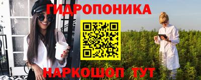ГАЛЛЮЦИНОГЕННЫЕ ГРИБЫ Канаш