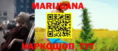 амф Кандалакша