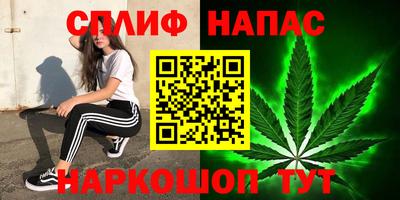 ГАЛЛЮЦИНОГЕННЫЕ ГРИБЫ Канаш