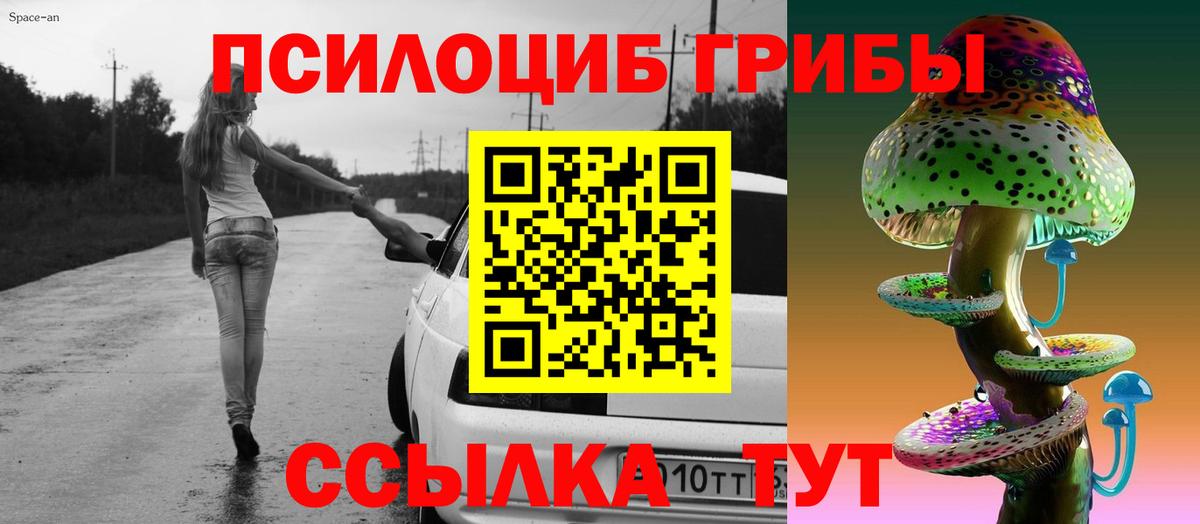 Серов  Псилоцибиновые грибы GOLDEN TEACHER  закладки  Вход с VPN 